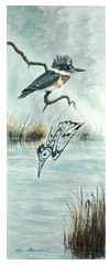 Kingfisher